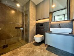 Irwell Hill Residences (D9), Apartment #477619761